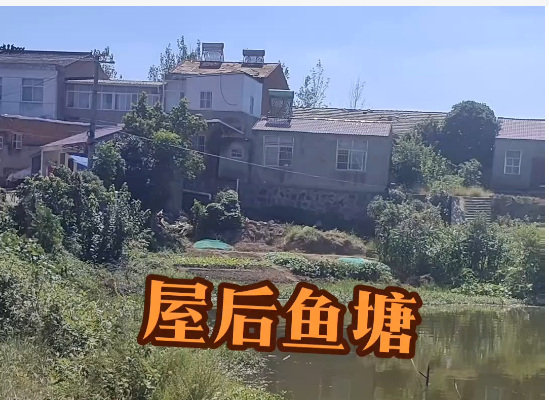 住宅后面可以挖鱼塘吗风水好吗